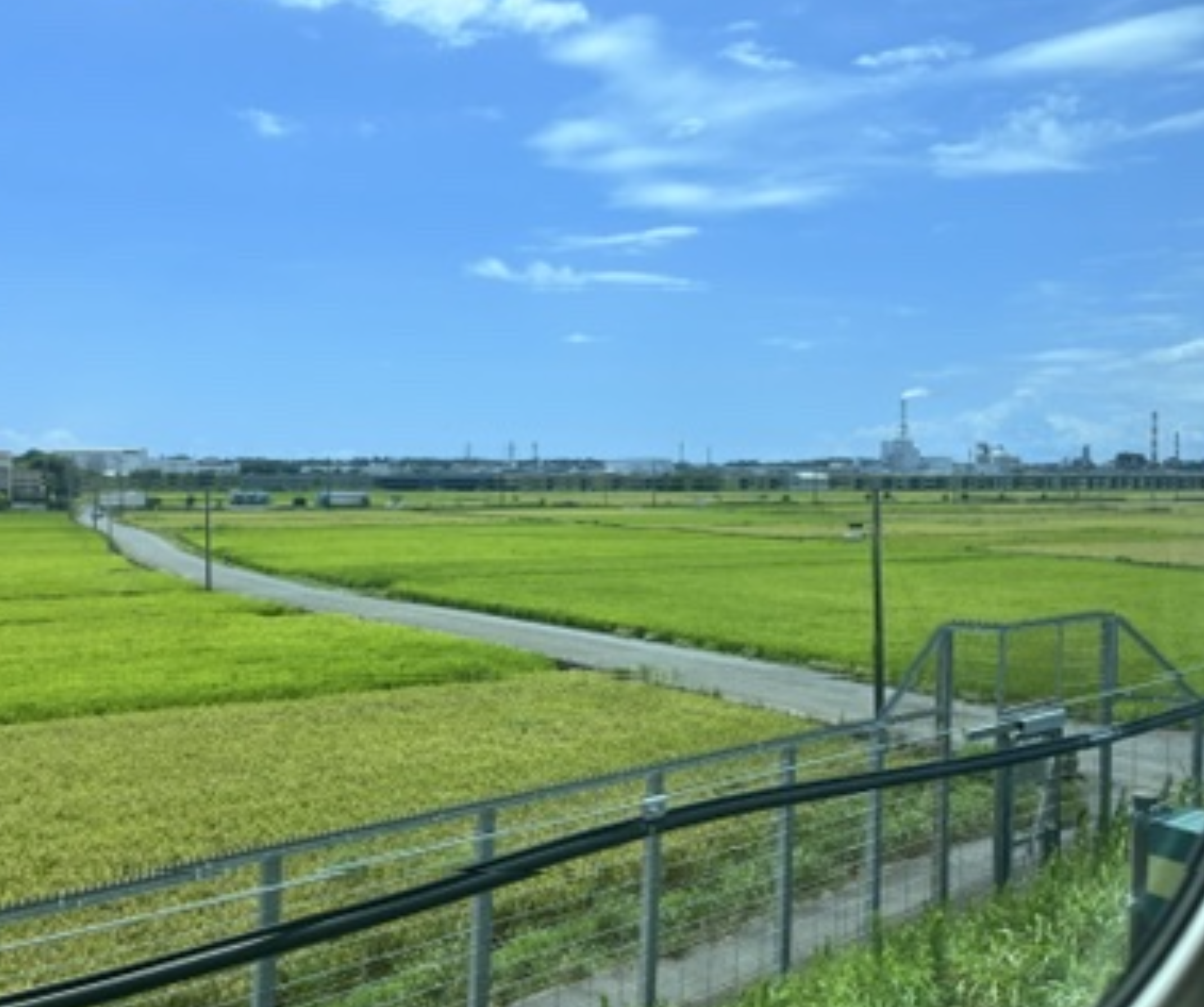 gallery 21